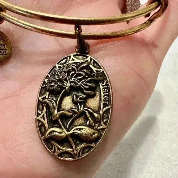 Alex and Ani Forever, Friend, Sister, Charm Bracelet In Rafaelian Gold - Picture 2 of 7